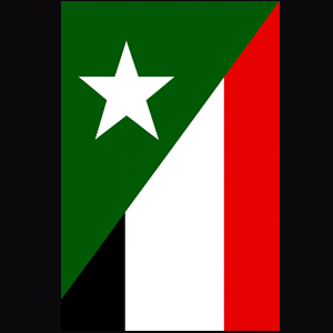 Faction 13
